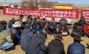 黑马河镇：一号文件迎春来 党的声音进万家