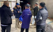 加强蚕豆象疫情防控 守护好春耕种子安全