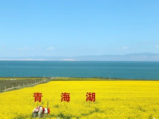 共和县：奋力推进国际生态旅游目的地青海湖示范区创建
