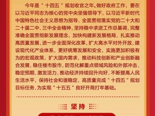 【聚焦全国两会】一图速览！2025年政府工作报告