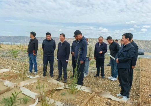 吕刚赴共和县调研荒漠化综合防治和“三北”等重点生态工程建设工作