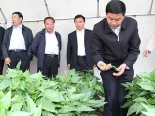 副省长严金海赴共和县实地调研