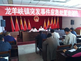 龙羊峡镇开展突发事件应急处置培训活动

