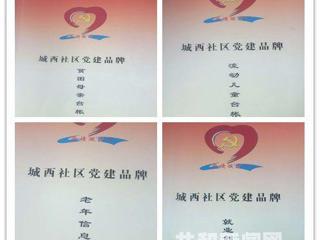 共和县恰卜恰镇城西社区“四色卡三延伸”实现社区服务零距离