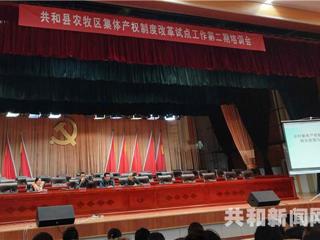 共和县召开农牧区集体产权制度改革试点工作第二期培训会