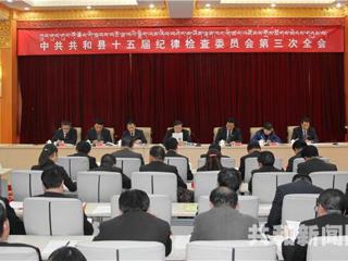 共和县第十五届纪律检查委员会第三次全体会议胜利召开
