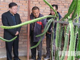 州委常委、县委书记陈鸿林深入龙羊峡镇阿乙亥村、克才村调研扶贫工作