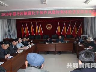 共和县委组织部深入11个乡镇调研发展壮大村级集体经济工作