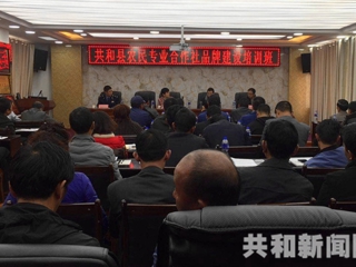 共和办班提高商标品牌意识