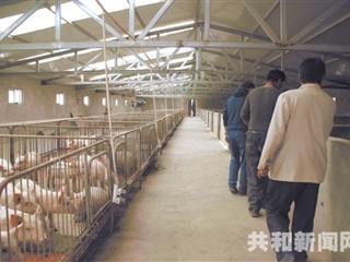 “贷”动 致富新希望