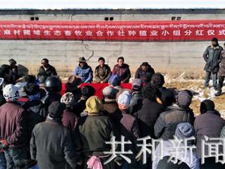 【脱贫攻坚一线事】合作社里有分红 农民增收有保障