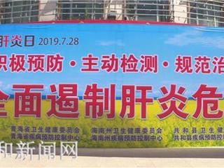 共和县举办“世界肝炎日”宣传活动