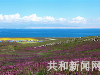文明春风拂共和——青海省共和县创建全国文明城市工作综述