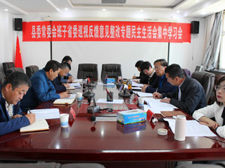 县委常委会班子召开省委巡视反馈意见整改专题民主生活会集中学习会