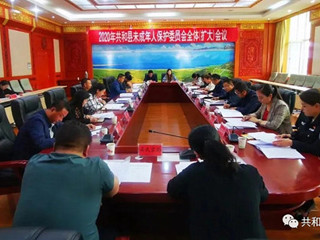 共和县召开2020年全县未成年人保护委员会全体（扩大）会议