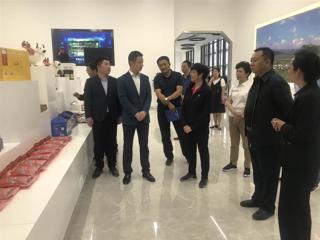 张黎副省长赴共和县调研全面推进小康
社会工作情况
