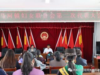 黑马河镇顺利召开第二次妇女代表大会