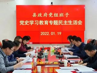 共和县政府党组召开党史学习教育专题民主生活会