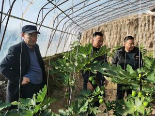 共和县开展春节前期农畜产品质量安全监管专项执法