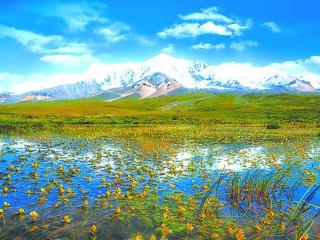 
【奋进新征程 建功新时代&#183;非凡十年】青山永驻 绿水常清
——“非凡十年看青海”系列述评之二