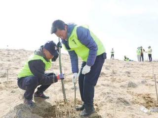 续写新时代贵南治沙故事