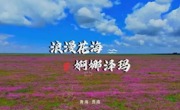 花海绮丽映贵南，藏绣曼舞庆文旅