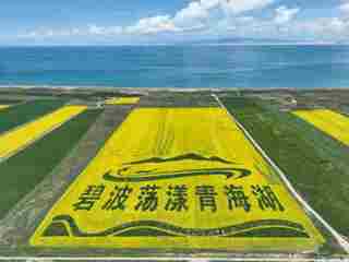 【“五大文化”大家谈】擦亮“生态名片”厚植生态底色 在培育弘扬守护中华水塔的生态文化上走在前