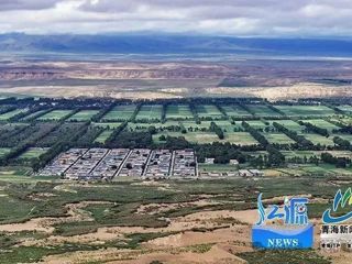 青海共和沙珠玉：从“风沙口袋”到“高原绿洲”的六十年绿色长征
