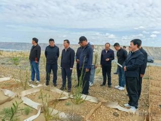 吕刚赴共和县调研荒漠化综合防治和“三北”等重点生态工程建设工作