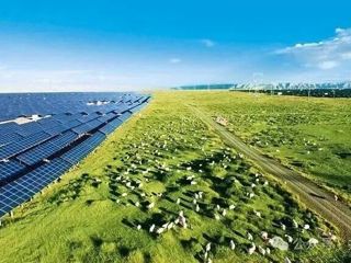 “光伏羊”唱出新牧歌