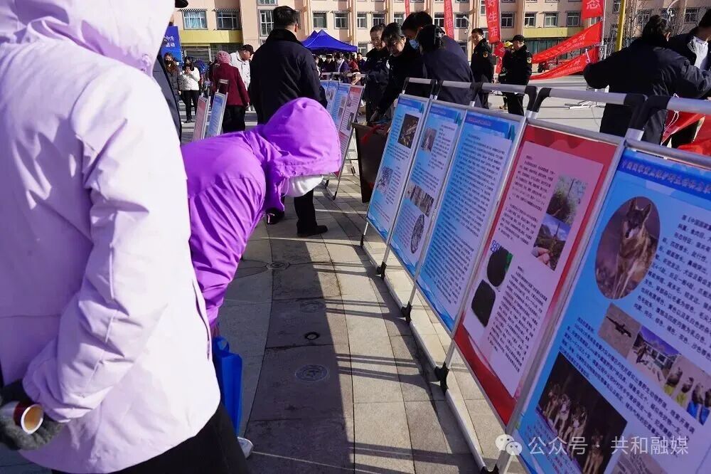 DSC08334.jpg DSC08334.jpg