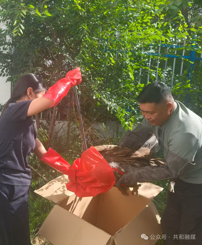 微信图片_20251021112137_220_68.png 微信图片_20251021112137_220_68.png