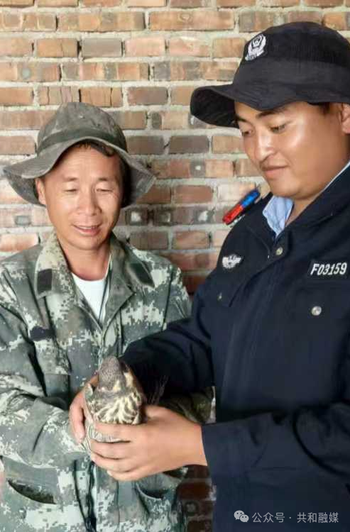 微信图片_20251021112125_217_68.jpg 微信图片_20251021112125_217_68.jpg