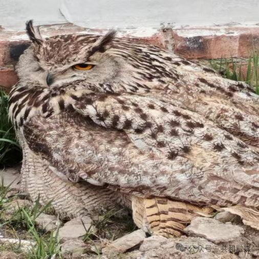 2841827154cut_img.png 2841827154cut_img.png