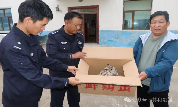 微信图片_20251021112021_213_68.png 微信图片_20251021112021_213_68.png