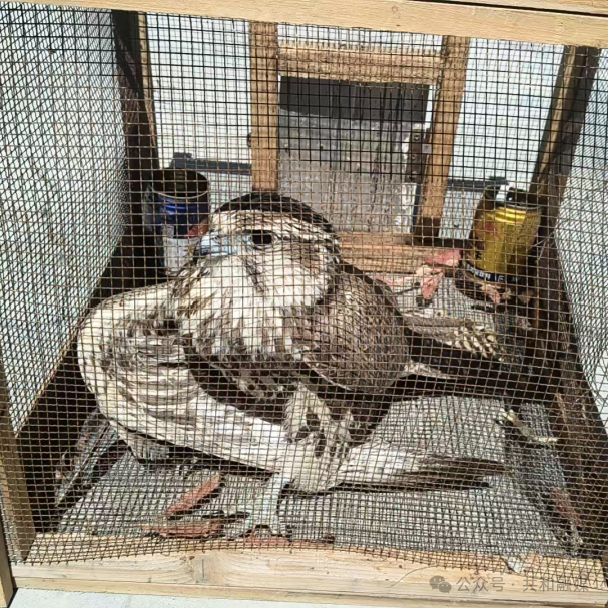 777861983cut_img.png 777861983cut_img.png