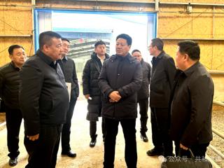 尕玛朋措在共和县调研时强调 坚持目标导向   狠抓任务落实全力冲刺一季度“开门红”