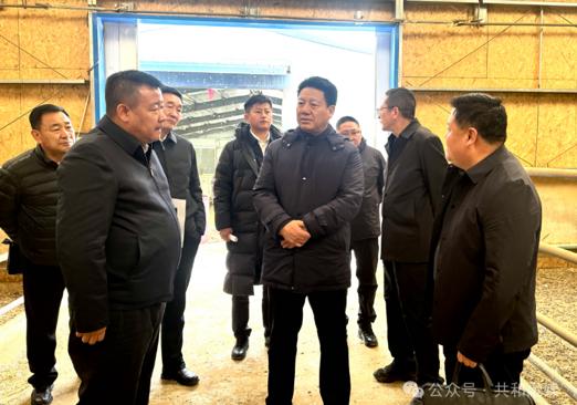 尕玛朋措在共和县调研时强调 坚持目标导向   狠抓任务落实全力冲刺一季度“开门红”