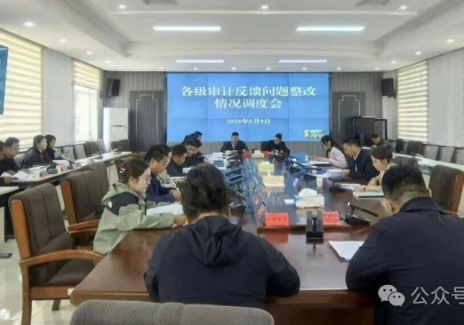 共和县召开各级审计反馈问题整改工作调度会