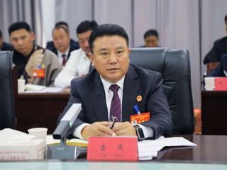当周参加共和代表团审议