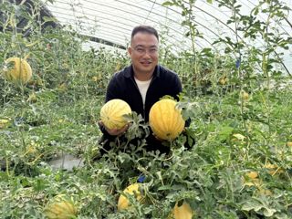 上塔迈村：大棚里种出家门口的好日子
