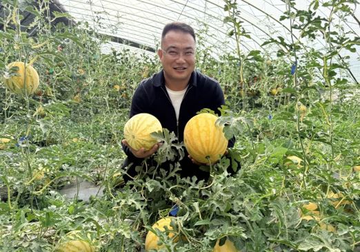 上塔迈村：大棚里种出家门口的好日子