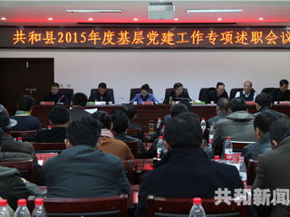 共和县召开2015年度基层党建工作专项述职会议