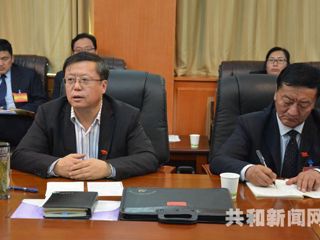 话成绩 催人奋进 提建议 群策群力----县党代会各代表团举行分组讨论