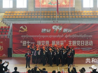 党味浓 形式活 “主题党日”别样红 --共和县开展“庆七一、颂党恩、展风采” 主题党日活动