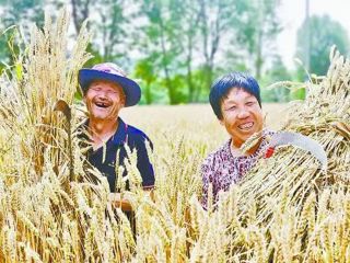 【奋进新征程 建功新时代&#183;非凡十年】乡村振兴 壮美画卷——“非凡十年看青海”系列述评之八