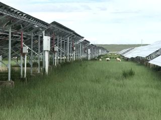 光伏园里话牧羊