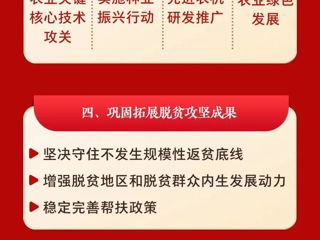 一图速览｜2023年中央一号文件