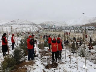 “植”此青绿 静待葱茏--共和县2023年义务植树活动拉开帷幕