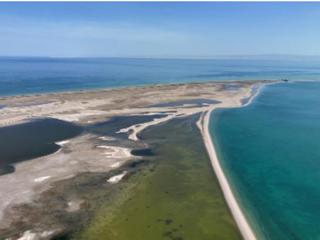 青海共和：持续推进青海湖南岸生态治理与旅游市场整治